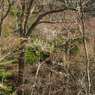 P3300046
