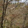 P3300047