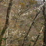 P3300048