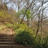 P3300049