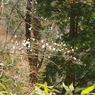 P3300050