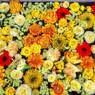 花まいり　4月15日