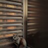 黒猫～★