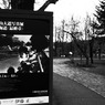 RIMG0241