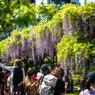 4月20日　天神通信 2