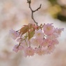 P1060275