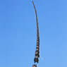 「蒼空」なびく・カラフル凧 
