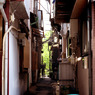 築地から佃島へ (08)
