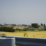 miyagiken___