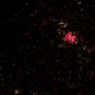 20110416-IMG_0074