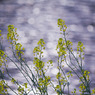 20110417-IMG_0056
