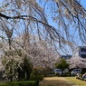 P1060527