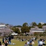P1060566