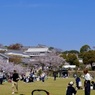 P1060567