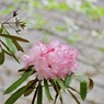 P1070611