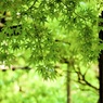 P1070844