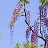 P1070816