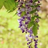 P1070807