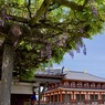 P1070708