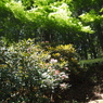 P4270003