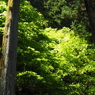 P4270012