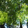 P4270016