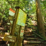P4270017