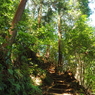 P4270018