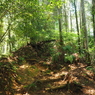 P4270021