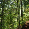 P4270026