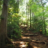 P4270030