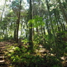 P4270034