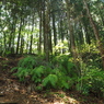 P4270035