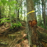 P4270043