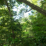 P4270044