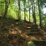 P4270045