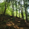 P4270047