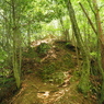 P4270049