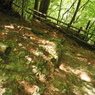 P4270050