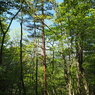 P4270056