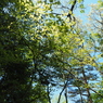 P4270057