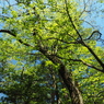 P4270059