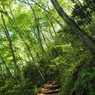 P4270080