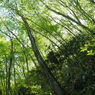 P4270081