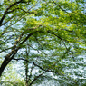 P4270095