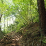 P4270110