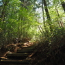 P4270115