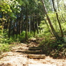 P4270121