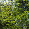 P4270123