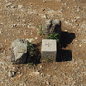 P4270175